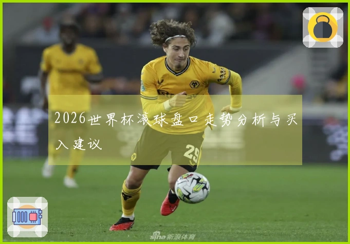 2026世界杯滚球盘口走势分析与买入建议